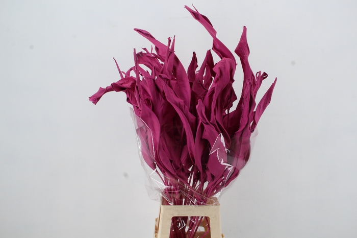 <h4>DF Strelitzia Leaf Erica</h4>