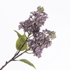 Syringa Spray Lavender FL440368LAV