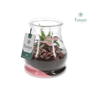 Glas Druppel met Arrangement