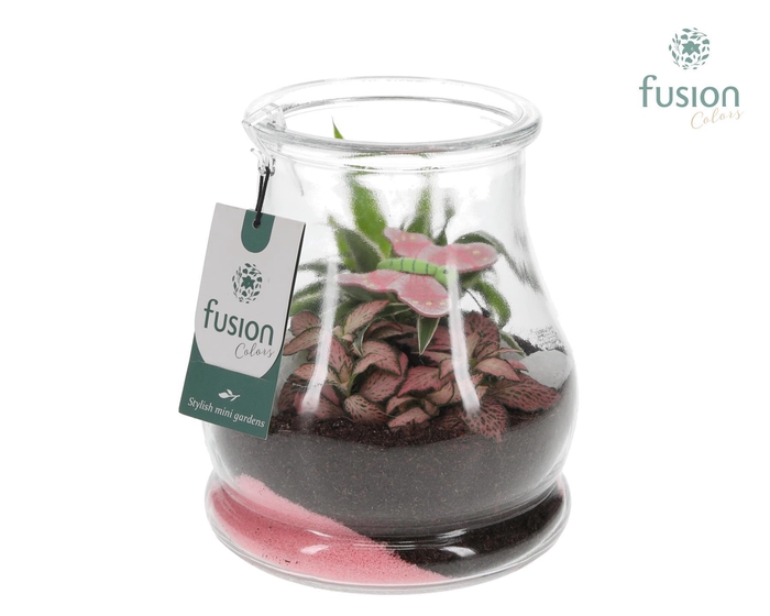 <h4>Glas Druppel met Arrangement</h4>