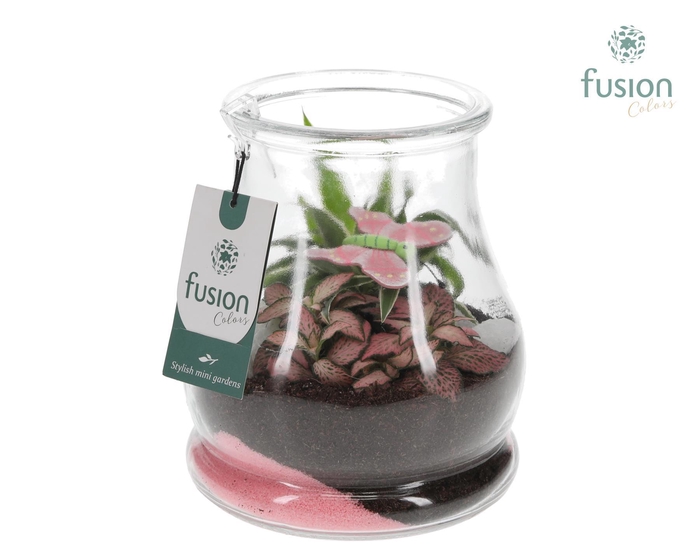 <h4>Glas Druppel met Arrangement</h4>