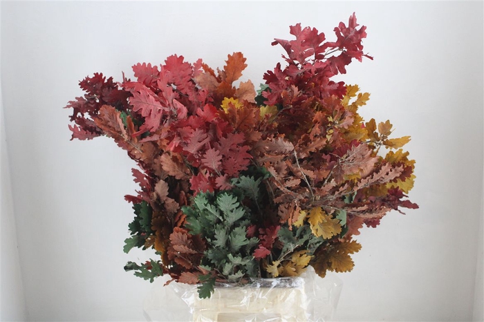 <h4>Pres Mini Oak Autumn P Bunch</h4>