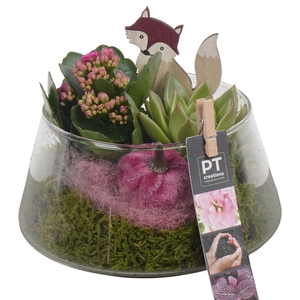 Arr.   Planten L%