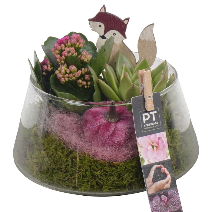 <h4>Arr.   Planten L%</h4>