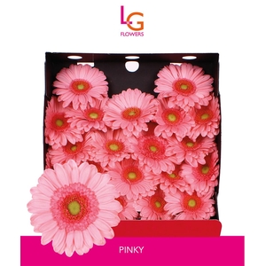 Germini Pinky Diamond