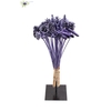 Bouquet Mix 40 stems Frosted Milka