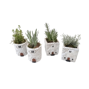Planten  ..in schaal L%