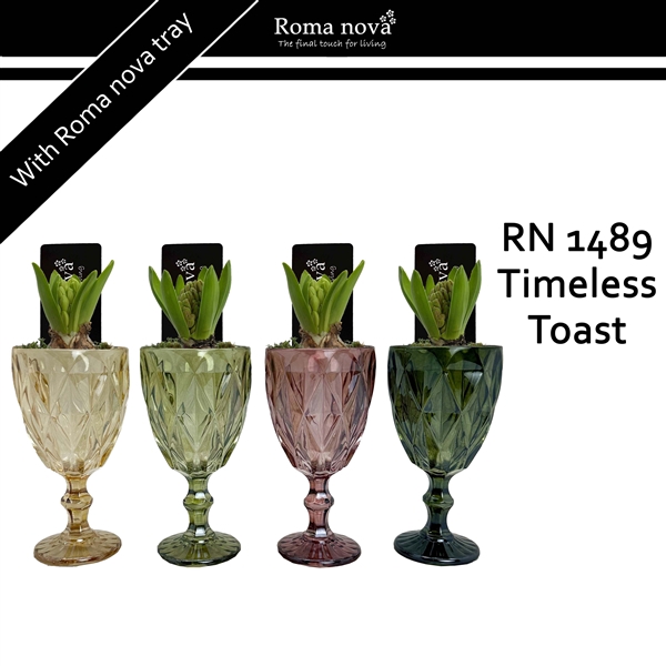 <h4>Arrangementen Hyacinthus 6%</h4>