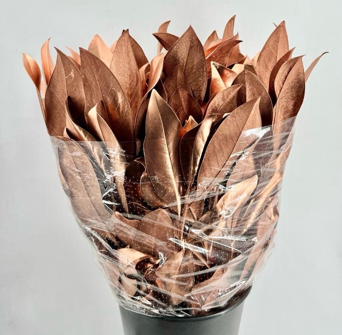 <h4>DEC Magnolia Painted $luxury Copper</h4>