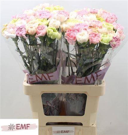 <h4>Di St Gem In Bos (pastel)</h4>