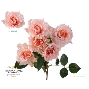 R Tr Parfum Be Loving