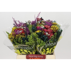 BQ Kaaps Groen Mandarin