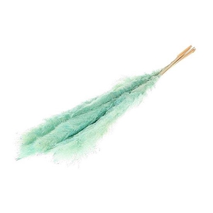 Bunch Gynerium 5 Pcs Slv L120