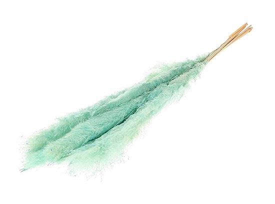 Bunch Gynerium 5 Pcs Slv L120