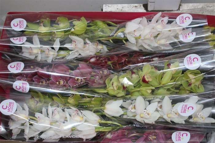 <h4>Cymb Mi Gemengd</h4>