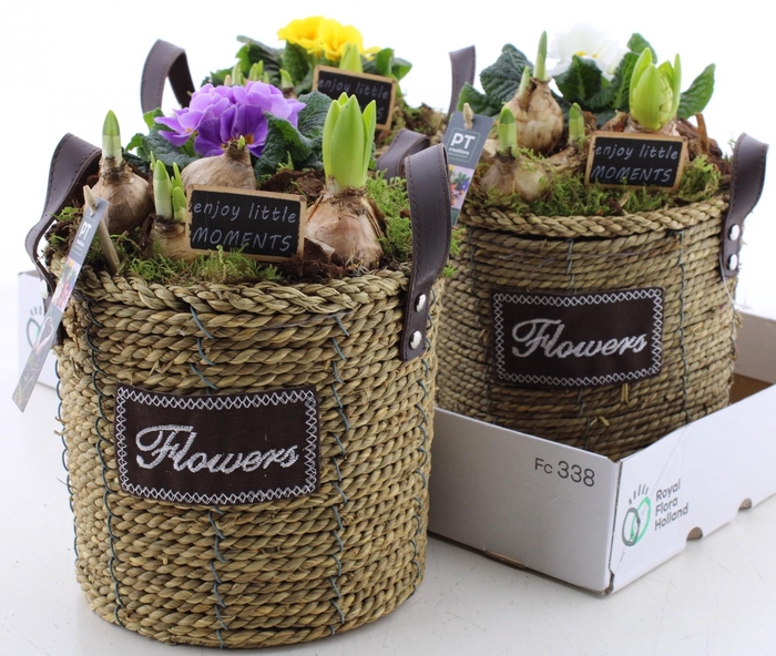 <h4>ARR PL IN SCHAAL</h4>