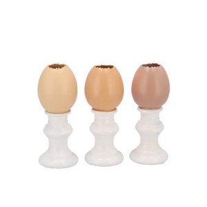 Easter Egg Trophy Natural Brown Mix Vase Ass 6x6x1