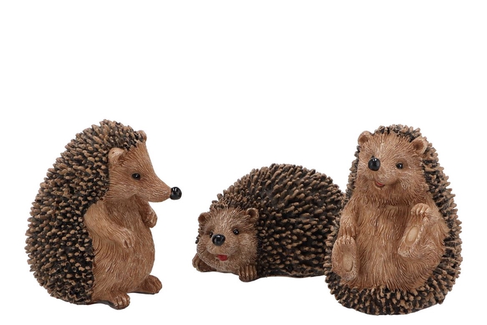 Deco Hedgehodge Ass Per 1 12cm Nm