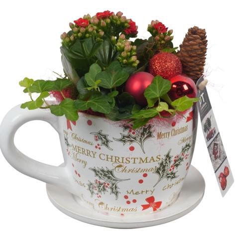 <h4>PTCHR7289 Arrangement Christmas Red in keramiek pot</h4>