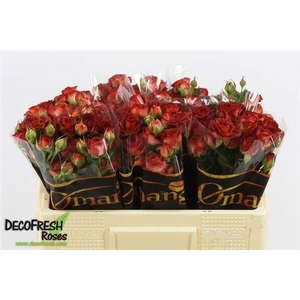 R Tr Chocola Bubbles