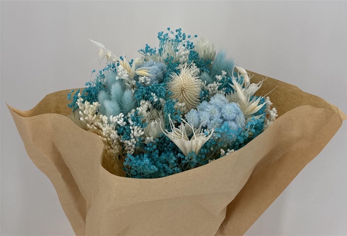 <h4>Dr Bqt Bleach Big Light Blue</h4>