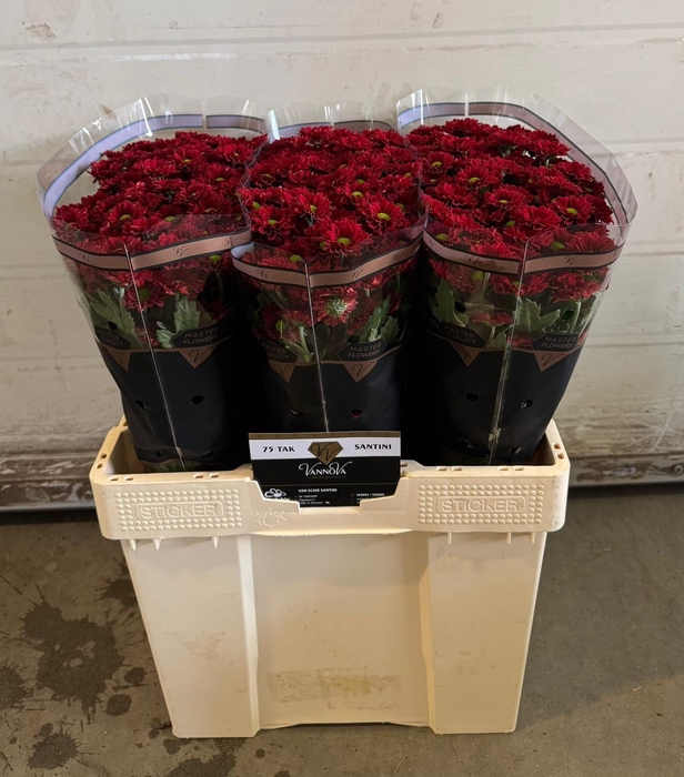 <h4>Chr S OVERIG</h4>