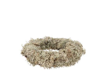 <h4>Nature Wreath Dry White Moss 20cm</h4>