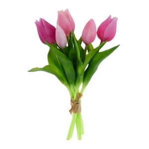 AF Tulip Pointer Bund x5 L25cm