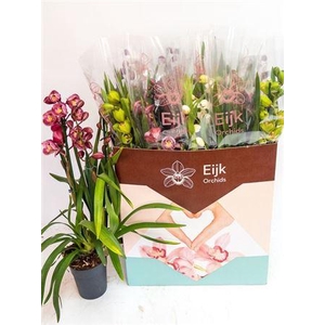 Cymb Gemengd 3 Branches