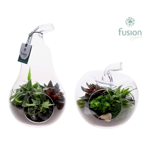 Peer en Appel glas met arrangement.