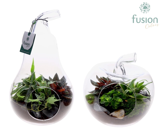 <h4>Peer en Appel glas met arrangement.</h4>