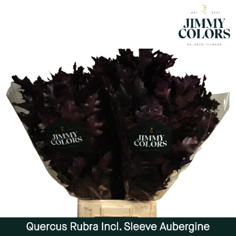 <h4>Quercus Rubra sleeve L80 Klbh. Aubergine</h4>