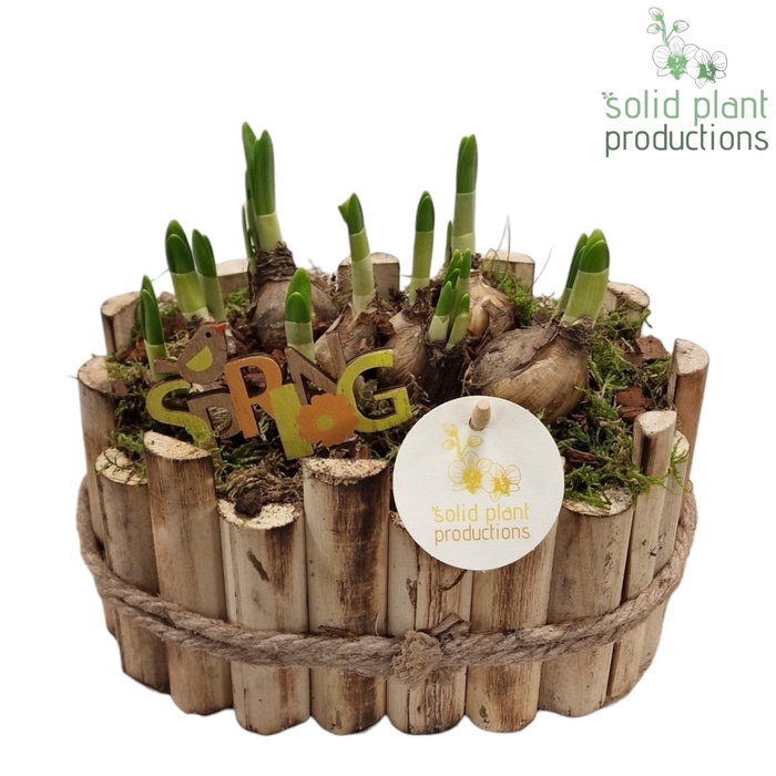 <h4>HTE003 Bologna Small Tête-á-Tête</h4>