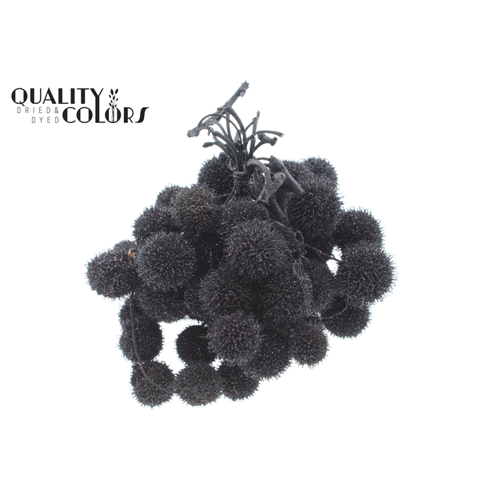 <h4>Small ball per bunch in poly Black + Glitter</h4>
