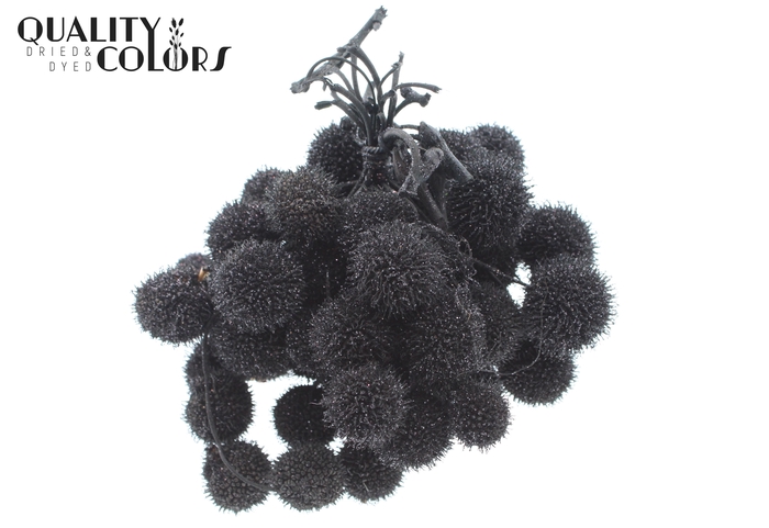 Small ball per bunch in poly Black + Glitter