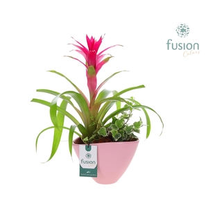 Pot keramiek ovaal Medium met Arrangement