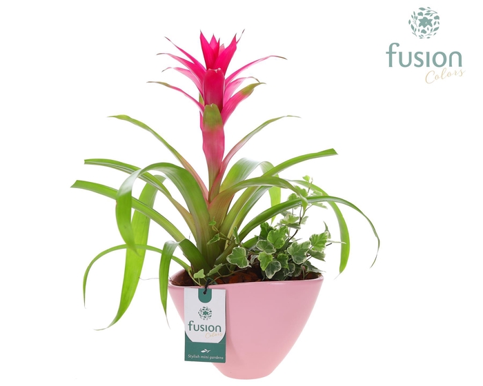 <h4>Pot keramiek ovaal Medium met Arrangement</h4>