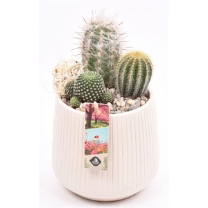 Keramiek vert.lines creme mat 14cm