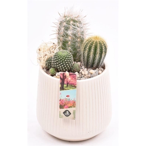 Keramiek vert.lines creme mat 14cm