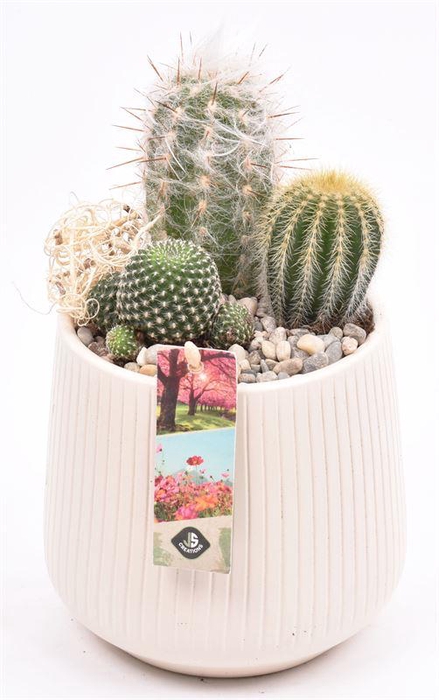 <h4>Keramiek vert.lines creme mat 14cm</h4>