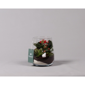 Glas Alzada met arrangement en lieveheersbeestjes
