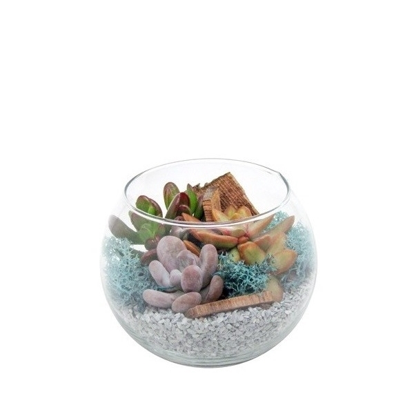 <h4>ARRANGEMENT CACTUS AND SUCCULENTS IN GLASS CUT SPHERE Ø 12 - IN CARDBOARD BOX 14X14 CM (CACTUS EN SUCCULENTEN)</h4>