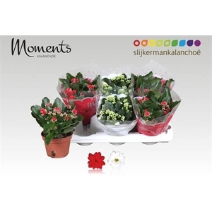 KALAN CALAN XMAS MIX P15