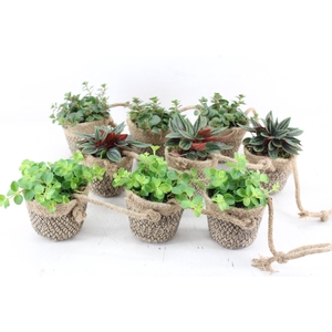 arr3 SN - Jute ketting 3pot x3