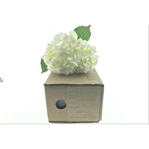 Hydr ( Box ) White