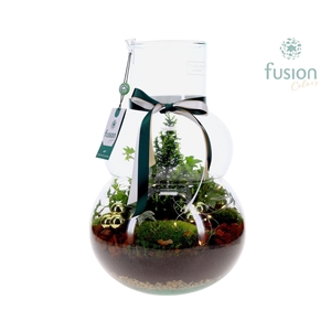 Green Bottle Olaf Large met Kerst arrangement