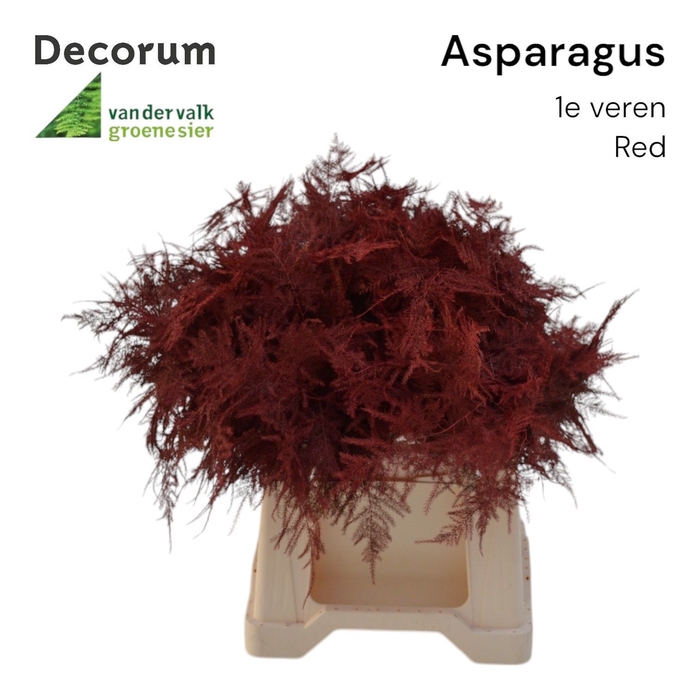 <h4>Asp 1e veren Red</h4>