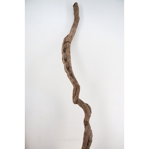 Liana Tarzan Medium (M) 200CM+