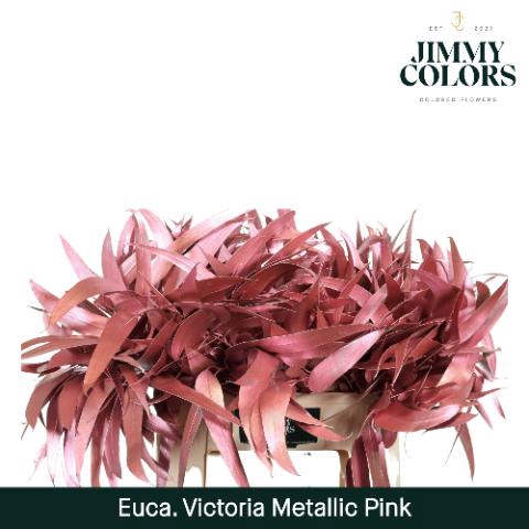 <h4>Victoriablad Gekleurd Mtlc. Roze</h4>