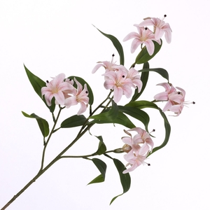 Lilium Spray Pink